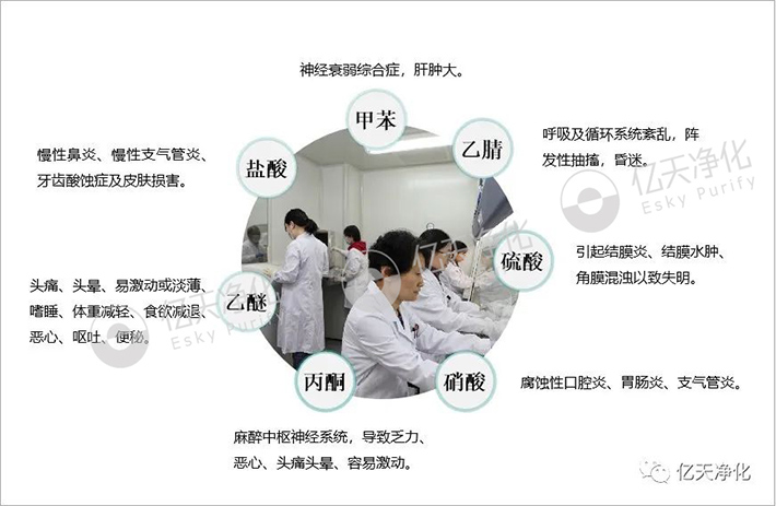 告別惡臭，守護呼吸健康，全面凈化動物實驗室空氣環境